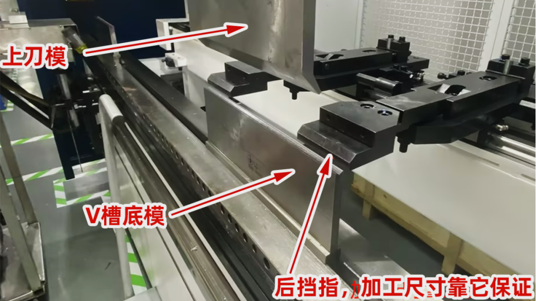 ab019ea269ed207dd202.png